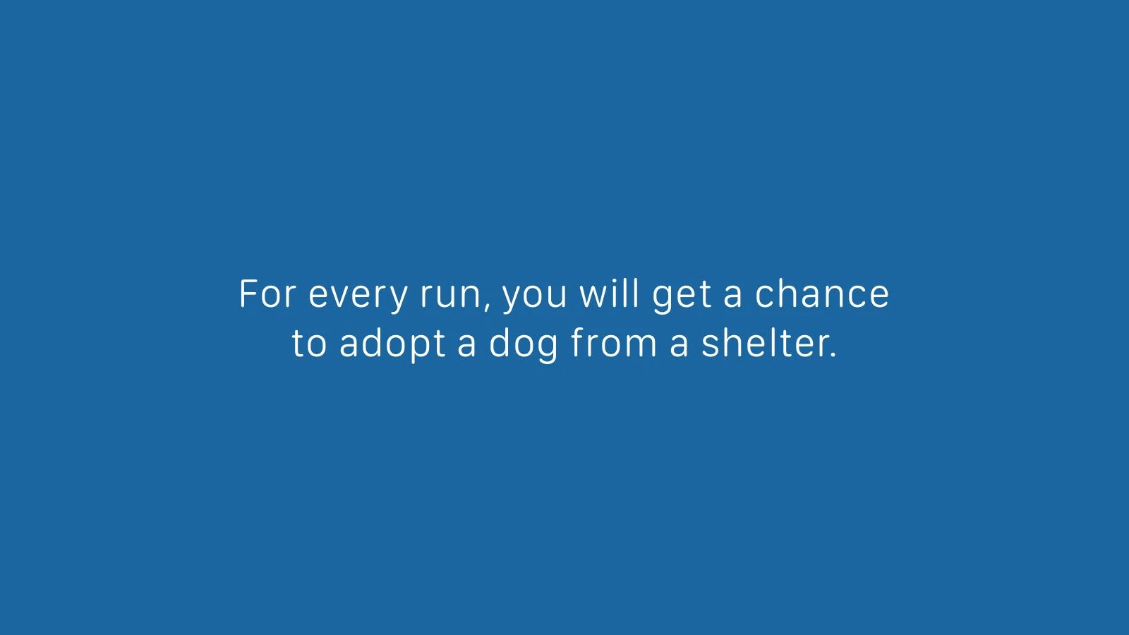 Brooks PawRunners — slide 6 of 14
