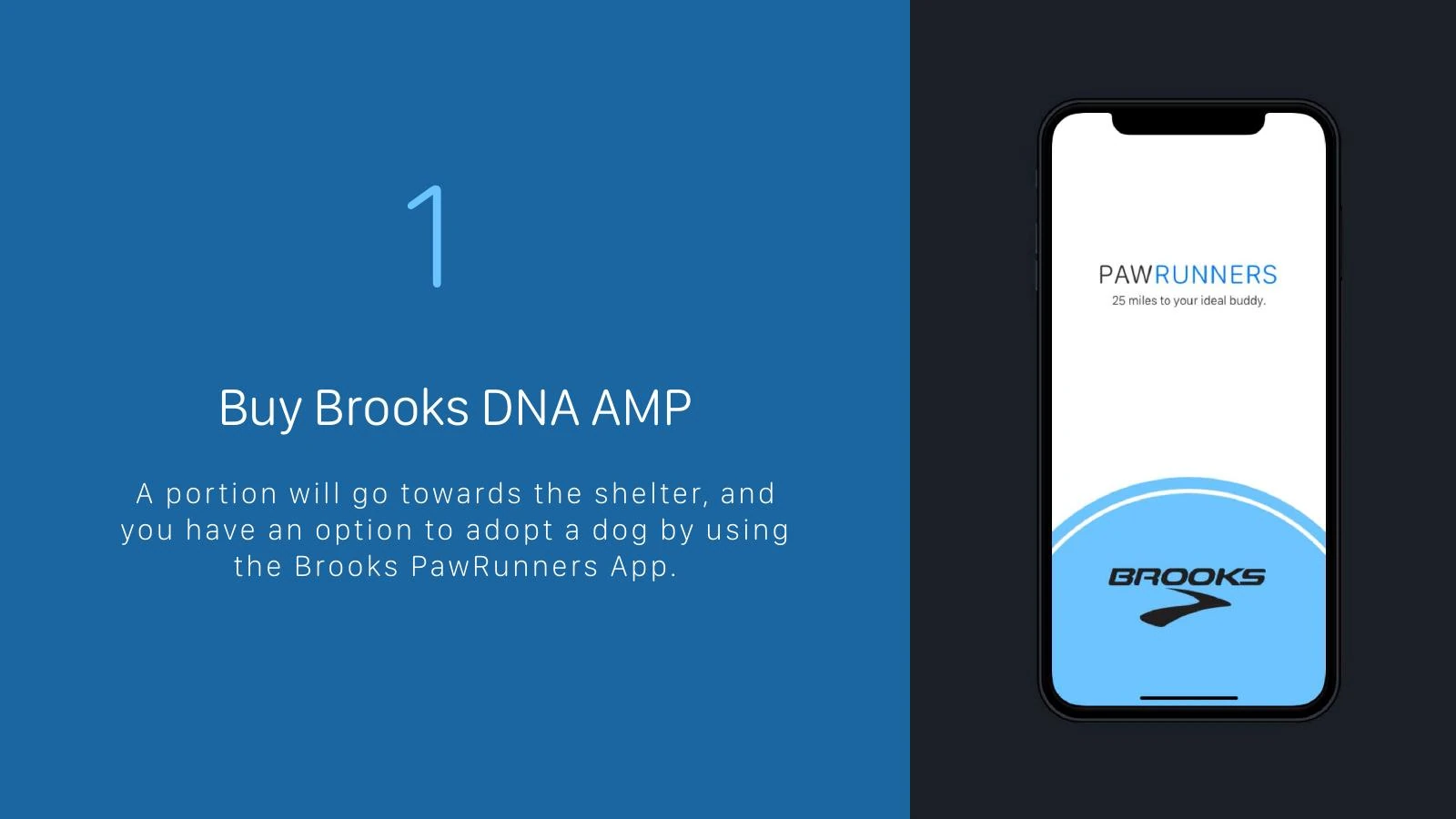 Brooks PawRunners slide, buy Brooks DNA AMP