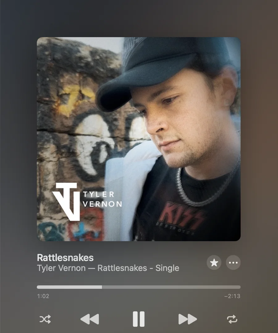 Rattlesnakes single cover